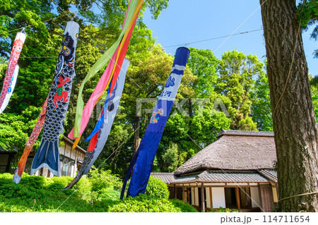 古民家の鯉のぼり 114711654