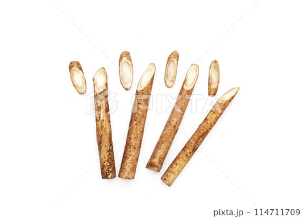 Burdock Root (Gobo) on white background. 114711709