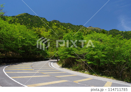 新緑の鈴鹿スカイライン《武平峠近くのヘアピンカーブ》 114711785