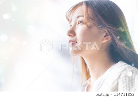 きれいな女性 きれいな女性 114711852