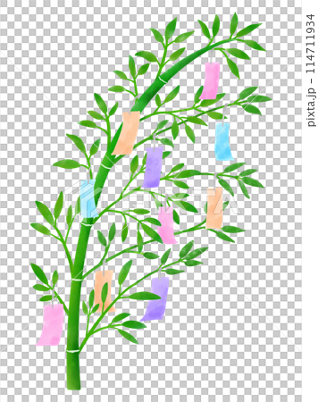 水彩で描いたカラフルな短冊と笹のイラスト 水彩で描いたカラフルな短冊と笹のイラスト 114711934