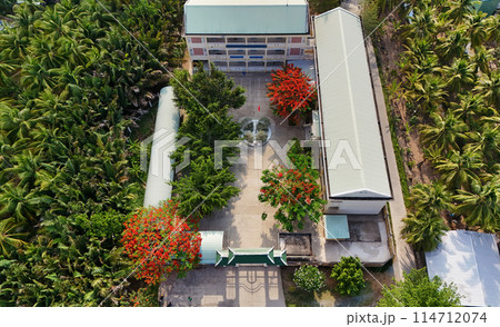Amazing landscape of Mekong Delta village, school campus with red phoenix flowers tree bloom vibrant, highschool among coconut forest, flamboyant is symbol of summer and begin summertime vacation 114712074