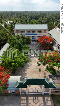 Amazing landscape of Mekong Delta village, school campus with red phoenix flowers tree bloom vibrant, highschool among coconut forest, flamboyant is symbol of summer and begin summertime vacation 114712077