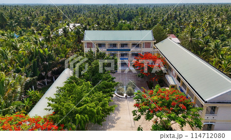 Amazing landscape of Mekong Delta village, school campus with red phoenix flowers tree bloom vibrant, highschool among coconut forest, flamboyant is symbol of summer and begin summertime vacation 114712080