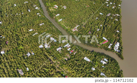 Amazing aerial view of Mekong Delta, vast coconut, palm, nipa tree field, irrigation system by canal with many river branch, water source for agriculture and waterway transport with cheap 114712102