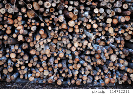 Wooden background from heap of tree trunk in circle make abstract texture for decor backdrop by nature 114712211