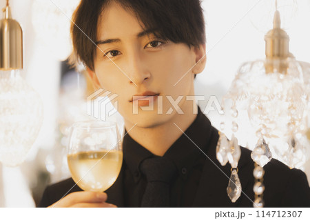 黒いスーツの男性 黒いスーツの男性 114712307