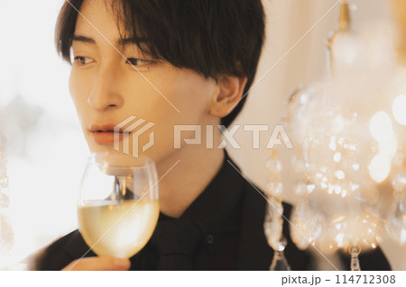黒いスーツの男性 黒いスーツの男性 114712308