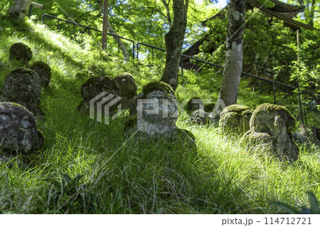 新緑の京都　愛宕念仏寺　さまざまな表情の羅漢像 114712721