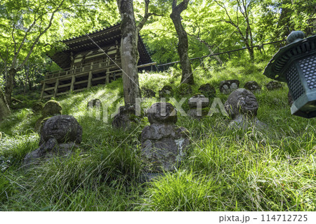 新緑の京都　愛宕念仏寺　さまざまな表情の羅漢像 114712725