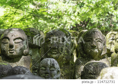 新緑の京都 愛宕念仏寺 さまざまな表情の羅漢像 新緑の京都 愛宕念仏寺 さまざまな表情の羅漢像 114712731