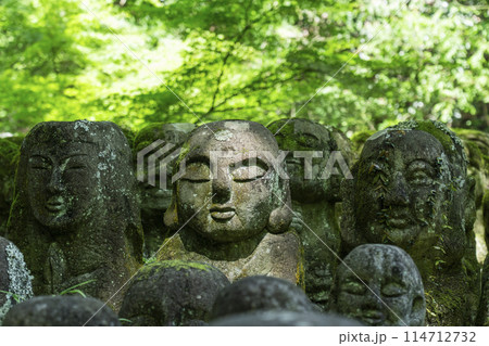 新緑の京都　愛宕念仏寺　さまざまな表情の羅漢像 114712732