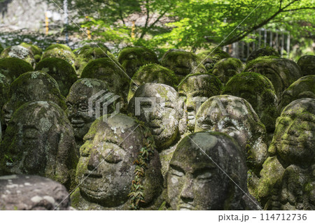 新緑の京都　愛宕念仏寺　さまざまな表情の羅漢像 114712736
