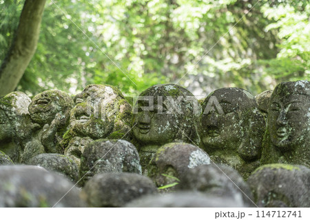 新緑の京都 愛宕念仏寺 さまざまな表情の羅漢像 新緑の京都 愛宕念仏寺 さまざまな表情の羅漢像 114712741