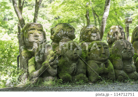新緑の京都 愛宕念仏寺 さまざまな表情の羅漢像 新緑の京都 愛宕念仏寺 さまざまな表情の羅漢像 114712751