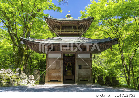 新緑の京都　愛宕念仏寺　ふれ愛観音堂 114712753