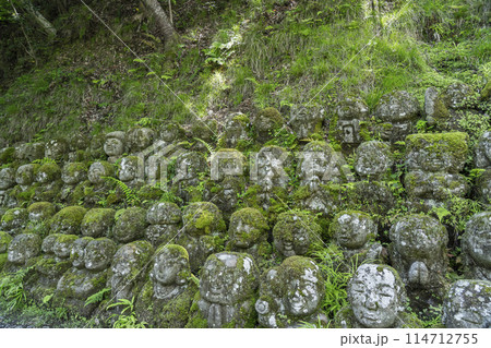 新緑の京都 愛宕念仏寺 さまざまな表情の羅漢像 新緑の京都 愛宕念仏寺 さまざまな表情の羅漢像 114712755