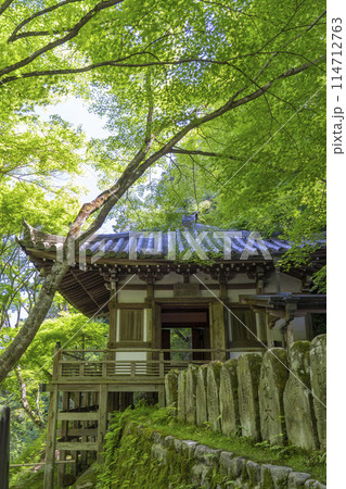 新緑の京都 愛宕念仏寺 地蔵堂 新緑の京都 愛宕念仏寺 地蔵堂 114712763