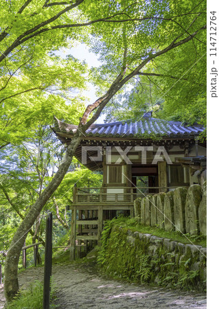 新緑の京都　愛宕念仏寺　地蔵堂 114712764