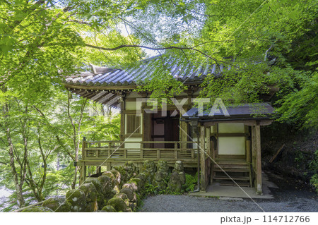 新緑の京都 愛宕念仏寺 地蔵堂 新緑の京都 愛宕念仏寺 地蔵堂 114712766