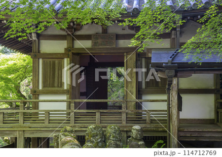 新緑の京都 愛宕念仏寺 地蔵堂 新緑の京都 愛宕念仏寺 地蔵堂 114712769