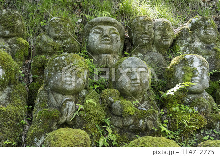 新緑の京都 愛宕念仏寺 さまざまな表情の羅漢像 新緑の京都 愛宕念仏寺 さまざまな表情の羅漢像 114712775
