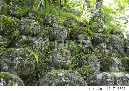 新緑の京都　愛宕念仏寺　さまざまな表情の羅漢像 114712781