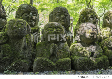 新緑の京都　愛宕念仏寺　さまざまな表情の羅漢像 114712787