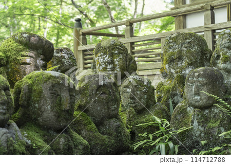 新緑の京都 愛宕念仏寺 さまざまな表情の羅漢像 新緑の京都 愛宕念仏寺 さまざまな表情の羅漢像 114712788