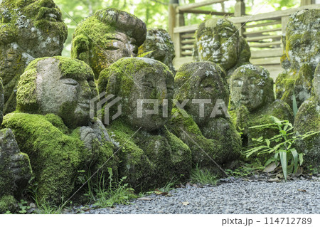 新緑の京都　愛宕念仏寺　さまざまな表情の羅漢像 114712789