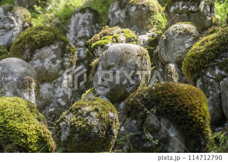 新緑の京都　愛宕念仏寺　さまざまな表情の羅漢像 114712790