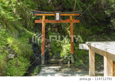 新緑の京都　愛宕念仏寺　天河大辨財天社 114712791