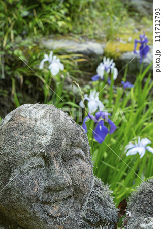 新緑の京都　愛宕念仏寺　羅漢さんと杜若 114712793