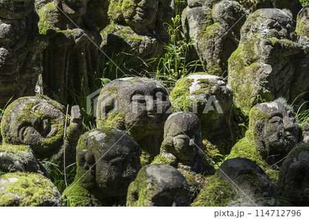新緑の京都　愛宕念仏寺　さまざまな表情の羅漢像 114712796