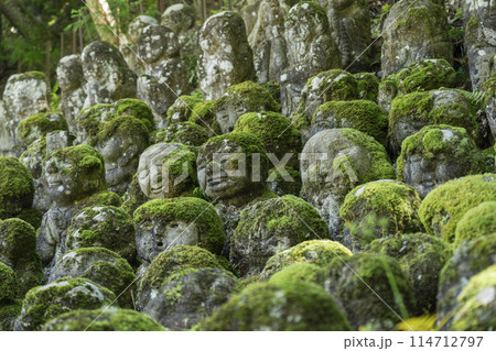 新緑の京都　愛宕念仏寺　さまざまな表情の羅漢像 114712797