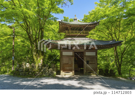 新緑の京都　愛宕念仏寺　ふれ愛観音堂 114712803