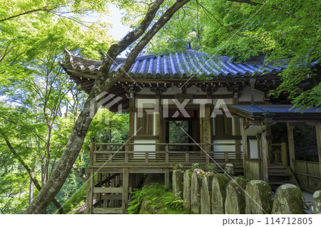 新緑の京都 愛宕念仏寺 地蔵堂 新緑の京都 愛宕念仏寺 地蔵堂 114712805