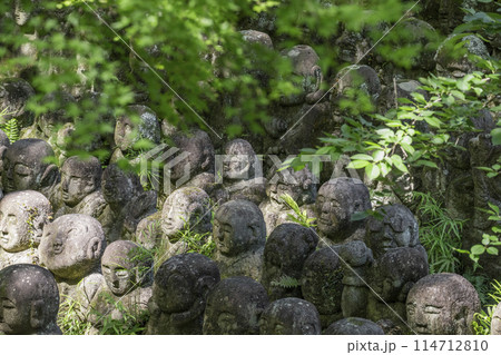 新緑の京都 愛宕念仏寺 さまざまな表情の羅漢像 新緑の京都 愛宕念仏寺 さまざまな表情の羅漢像 114712810
