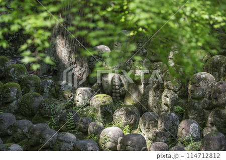 新緑の京都　愛宕念仏寺　さまざまな表情の羅漢像 114712812
