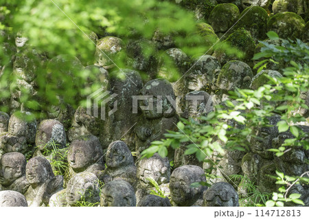 新緑の京都 愛宕念仏寺 さまざまな表情の羅漢像 新緑の京都 愛宕念仏寺 さまざまな表情の羅漢像 114712813