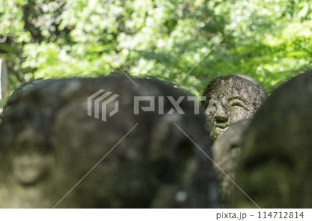 新緑の京都 愛宕念仏寺 さまざまな表情の羅漢像 新緑の京都 愛宕念仏寺 さまざまな表情の羅漢像 114712814