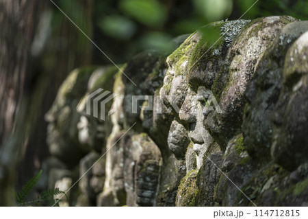 新緑の京都　愛宕念仏寺　さまざまな表情の羅漢像 114712815