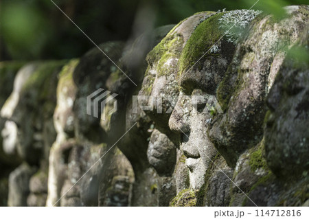 新緑の京都　愛宕念仏寺　さまざまな表情の羅漢像 114712816