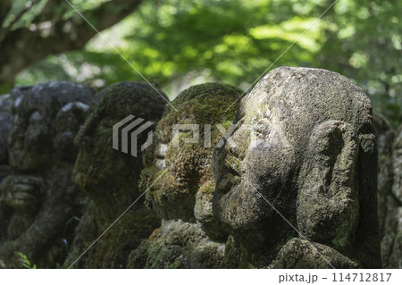 新緑の京都 愛宕念仏寺 さまざまな表情の羅漢像 新緑の京都 愛宕念仏寺 さまざまな表情の羅漢像 114712817