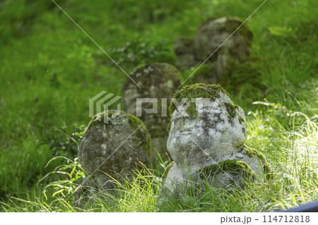 新緑の京都 愛宕念仏寺 さまざまな表情の羅漢像 新緑の京都 愛宕念仏寺 さまざまな表情の羅漢像 114712818