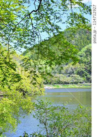 鎌北湖 緑美しい新緑の湖畔 春の風景 鎌北湖 緑美しい新緑の湖畔 春の風景 114712927