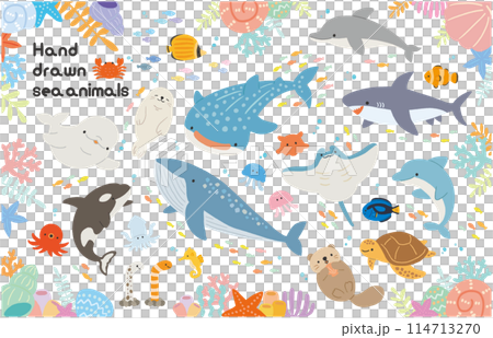 水族館　海の生き物　手描きイラスト素材セット 114713270