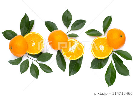 Orange fruit with green leaves on white background. 114713466