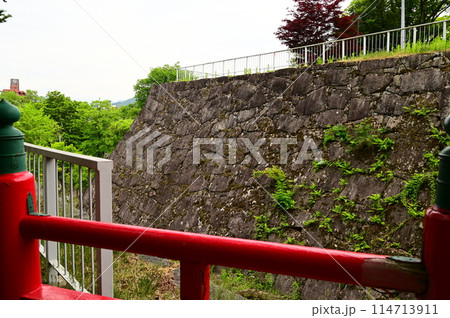 初夏の盛岡城跡公園 114713911