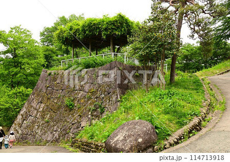 初夏の盛岡城跡公園 114713918